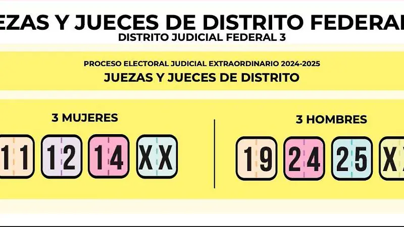 eleecion poder judicial